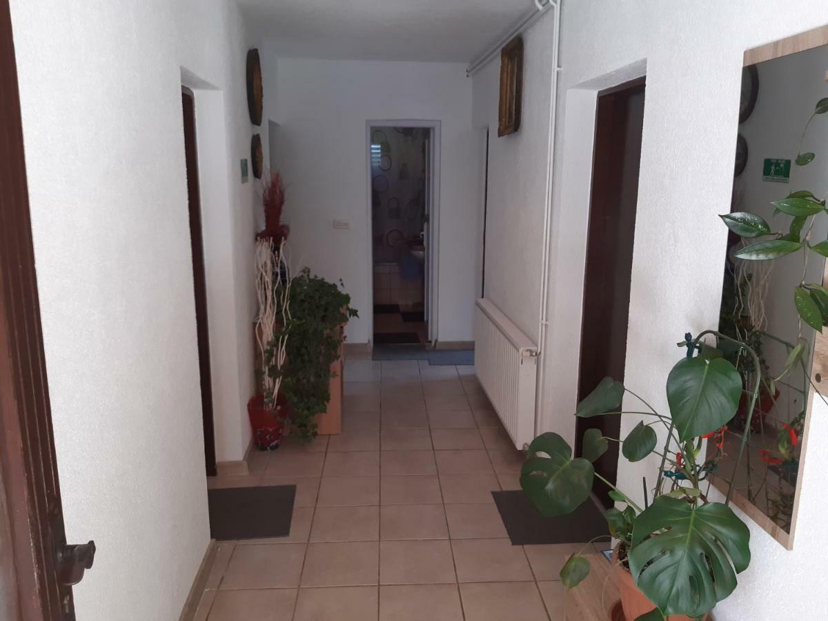 Rooms Luka Seliste Dreznicko Dış mekan fotoğraf